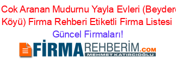 En+Cok+Aranan+Mudurnu+Yayla+Evleri+(Beyderesi+Köyü)+Firma+Rehberi+Etiketli+Firma+Listesi Güncel+Firmaları!