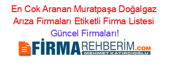 En+Cok+Aranan+Muratpaşa+Doğalgaz+Arıza+Firmaları+Etiketli+Firma+Listesi Güncel+Firmaları!