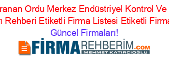 En+Çok+Aranan+Ordu+Merkez+Endüstriyel+Kontrol+Ve+Otomotiv+Test+Ekipmanları+Rehberi+Etiketli+Firma+Listesi+Etiketli+Firma+Listesi2.Sayfa Güncel+Firmaları!