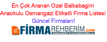 En+Çok+Aranan+Ozel+Balkabagim+Anaokulu+Osmangazi+Etiketli+Firma+Listesi Güncel+Firmaları!