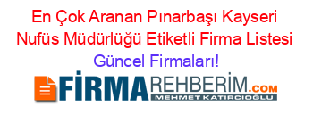 En+Çok+Aranan+Pınarbaşı+Kayseri+Nufüs+Müdürlüğü+Etiketli+Firma+Listesi Güncel+Firmaları!
