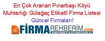En+Çok+Aranan+Pınarbaşı+Köyü+Muhtarlığı+Gülağaç+Etiketli+Firma+Listesi Güncel+Firmaları!