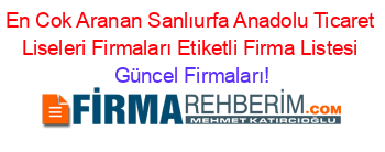 En+Cok+Aranan+Sanlıurfa+Anadolu+Ticaret+Liseleri+Firmaları+Etiketli+Firma+Listesi Güncel+Firmaları!