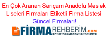 En+Çok+Aranan+Sarıçam+Anadolu+Meslek+Liseleri+Firmaları+Etiketli+Firma+Listesi Güncel+Firmaları!
