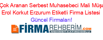 En+Çok+Aranan+Serbest+Muhasebeci+Mali+Müşavir+Erol+Korkut+Erzurum+Etiketli+Firma+Listesi Güncel+Firmaları!