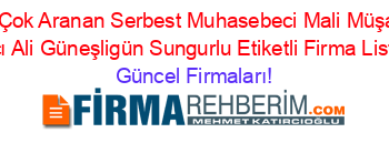 En+Çok+Aranan+Serbest+Muhasebeci+Mali+Müşavir+Hacı+Ali+Güneşligün+Sungurlu+Etiketli+Firma+Listesi Güncel+Firmaları!