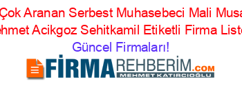 En+Çok+Aranan+Serbest+Muhasebeci+Mali+Musavir+Mehmet+Acikgoz+Sehitkamil+Etiketli+Firma+Listesi Güncel+Firmaları!