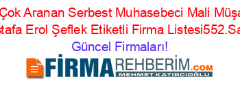 En+Çok+Aranan+Serbest+Muhasebeci+Mali+Müşavir+Mustafa+Erol+Şeflek+Etiketli+Firma+Listesi552.Sayfa Güncel+Firmaları!