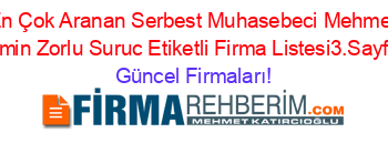 En+Çok+Aranan+Serbest+Muhasebeci+Mehmet+Emin+Zorlu+Suruc+Etiketli+Firma+Listesi3.Sayfa Güncel+Firmaları!