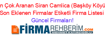 En+Çok+Aranan+Siran+Camlica+(Başköy+Köyü)+Son+Eklenen+Firmalar+Etiketli+Firma+Listesi Güncel+Firmaları!