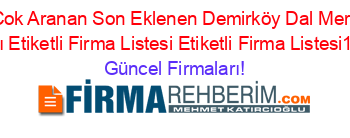 En+Çok+Aranan+Son+Eklenen+Demirköy+Dal+Merkezi+Firmaları+Etiketli+Firma+Listesi+Etiketli+Firma+Listesi14.Sayfa Güncel+Firmaları!