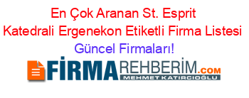 En+Çok+Aranan+St.+Esprit+Katedrali+Ergenekon+Etiketli+Firma+Listesi Güncel+Firmaları!