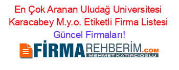 En+Çok+Aranan+Uludağ+Universitesi+Karacabey+M.y.o.+Etiketli+Firma+Listesi Güncel+Firmaları!