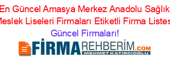 En+Güncel+Amasya+Merkez+Anadolu+Sağlık+Meslek+Liseleri+Firmaları+Etiketli+Firma+Listesi Güncel+Firmaları!
