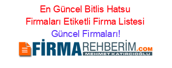 En+Güncel+Bitlis+Hatsu+Firmaları+Etiketli+Firma+Listesi Güncel+Firmaları!