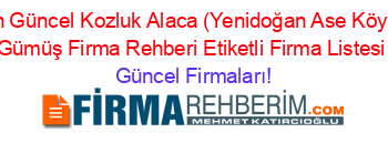 En+Güncel+Kozluk+Alaca+(Yenidoğan+Ase+Köyü)+Gümüş+Firma+Rehberi+Etiketli+Firma+Listesi Güncel+Firmaları!