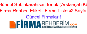 En+Güncel+Sebinkarahisar+Torluk+(Arslanşah+Köyü)+Firma+Rehberi+Etiketli+Firma+Listesi2.Sayfa Güncel+Firmaları!