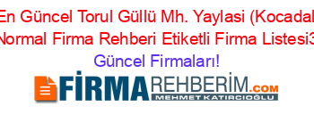 En+Güncel+Torul+Güllü+Mh.+Yaylasi+(Kocadal+Köyü)+Normal+Firma+Rehberi+Etiketli+Firma+Listesi3.Sayfa Güncel+Firmaları!