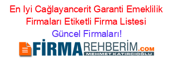 En+Iyi+Cağlayancerit+Garanti+Emeklilik+Firmaları+Etiketli+Firma+Listesi Güncel+Firmaları!