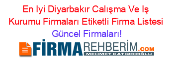 En+Iyi+Diyarbakır+Calışma+Ve+Iş+Kurumu+Firmaları+Etiketli+Firma+Listesi Güncel+Firmaları!