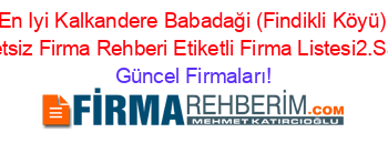 En+Iyi+Kalkandere+Babadaği+(Findikli+Köyü)+Ucretsiz+Firma+Rehberi+Etiketli+Firma+Listesi2.Sayfa Güncel+Firmaları!