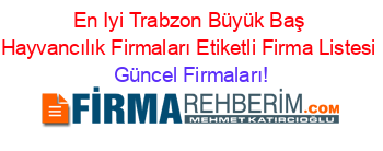 En+Iyi+Trabzon+Büyük+Baş+Hayvancılık+Firmaları+Etiketli+Firma+Listesi Güncel+Firmaları!