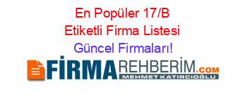 En+Popüler+17/B+Etiketli+Firma+Listesi Güncel+Firmaları!