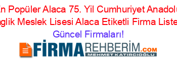 En+Popüler+Alaca+75.+Yil+Cumhuriyet+Anadolu+Saglik+Meslek+Lisesi+Alaca+Etiketli+Firma+Listesi Güncel+Firmaları!