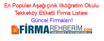 En+Popüler+Aşağıçinik+Ilköğretim+Okulu+Tekkeköy+Etiketli+Firma+Listesi Güncel+Firmaları!