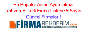 En+Popüler+Aslan+Aydınlatma+Trabzon+Etiketli+Firma+Listesi75.Sayfa Güncel+Firmaları!
