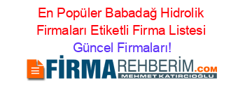 En+Popüler+Babadağ+Hidrolik+Firmaları+Etiketli+Firma+Listesi Güncel+Firmaları!