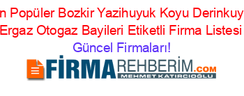 En+Popüler+Bozkir+Yazihuyuk+Koyu+Derinkuyu+Ergaz+Otogaz+Bayileri+Etiketli+Firma+Listesi Güncel+Firmaları!