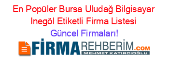 En+Popüler+Bursa+Uludağ+Bilgisayar+Inegöl+Etiketli+Firma+Listesi Güncel+Firmaları!