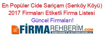 En+Popüler+Cide+Sariçam+(Senköy+Köyü)+2017+Firmaları+Etiketli+Firma+Listesi Güncel+Firmaları!