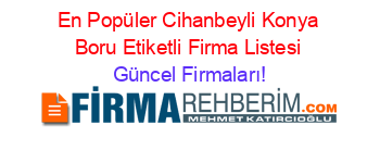 En+Popüler+Cihanbeyli+Konya+Boru+Etiketli+Firma+Listesi Güncel+Firmaları!