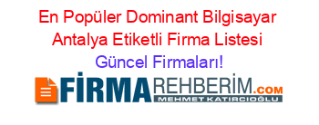 En+Popüler+Dominant+Bilgisayar+Antalya+Etiketli+Firma+Listesi Güncel+Firmaları!