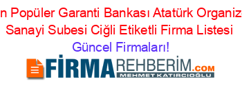 En+Popüler+Garanti+Bankası+Atatürk+Organize+Sanayi+Subesi+Ciğli+Etiketli+Firma+Listesi Güncel+Firmaları!