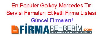 En+Popüler+Gölköy+Mercedes+Tır+Servisi+Firmaları+Etiketli+Firma+Listesi Güncel+Firmaları!