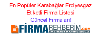 En+Popüler+Karabağlar+Erciyesgaz+Etiketli+Firma+Listesi Güncel+Firmaları!