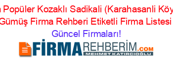 En+Popüler+Kozaklı+Sadikali+(Karahasanli+Köyü)+Gümüş+Firma+Rehberi+Etiketli+Firma+Listesi Güncel+Firmaları!