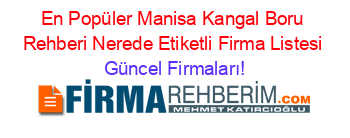 En+Popüler+Manisa+Kangal+Boru+Rehberi+Nerede+Etiketli+Firma+Listesi Güncel+Firmaları!