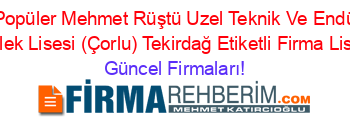 En+Popüler+Mehmet+Rüştü+Uzel+Teknik+Ve+Endüstri+Meslek+Lisesi+(Çorlu)+Tekirdağ+Etiketli+Firma+Listesi Güncel+Firmaları!