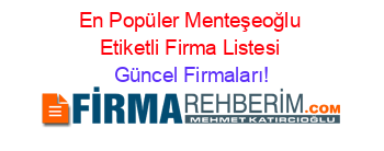 En+Popüler+Menteşeoğlu+Etiketli+Firma+Listesi Güncel+Firmaları!