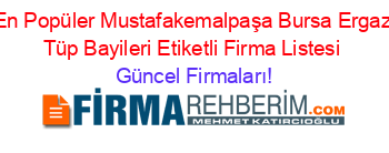 En+Popüler+Mustafakemalpaşa+Bursa+Ergaz+Tüp+Bayileri+Etiketli+Firma+Listesi Güncel+Firmaları!