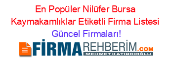 En+Popüler+Nilüfer+Bursa+Kaymakamlıklar+Etiketli+Firma+Listesi Güncel+Firmaları!