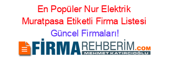 En+Popüler+Nur+Elektrik+Muratpasa+Etiketli+Firma+Listesi Güncel+Firmaları!