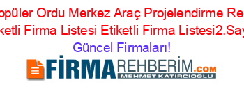 En+Popüler+Ordu+Merkez+Araç+Projelendirme+Rehberi+Etiketli+Firma+Listesi+Etiketli+Firma+Listesi2.Sayfa Güncel+Firmaları!