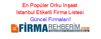 En+Popüler+Orku+Inşaat+Istanbul+Etiketli+Firma+Listesi Güncel+Firmaları!