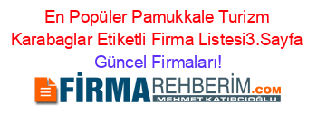 En+Popüler+Pamukkale+Turizm+Karabaglar+Etiketli+Firma+Listesi3.Sayfa Güncel+Firmaları!