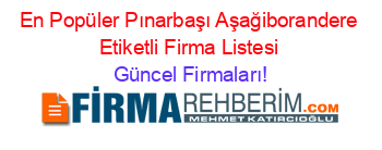 En+Popüler+Pınarbaşı+Aşağiborandere+Etiketli+Firma+Listesi Güncel+Firmaları!